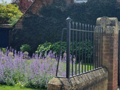 lavendar in townhouse garden