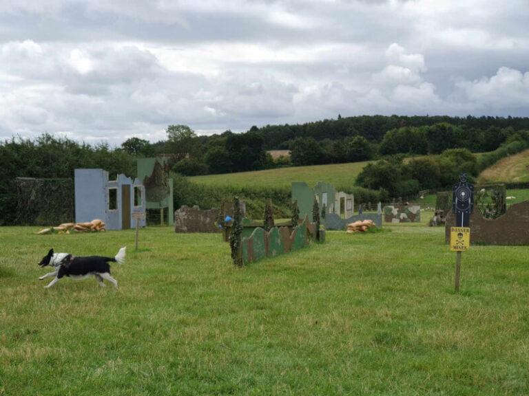 sheepdog running across a laser shooting combat ground