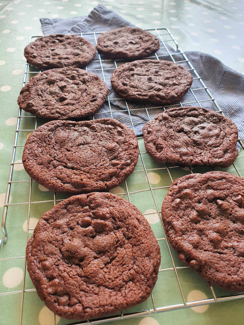 2 rows of double choc chip cookies on a wire rack cooling