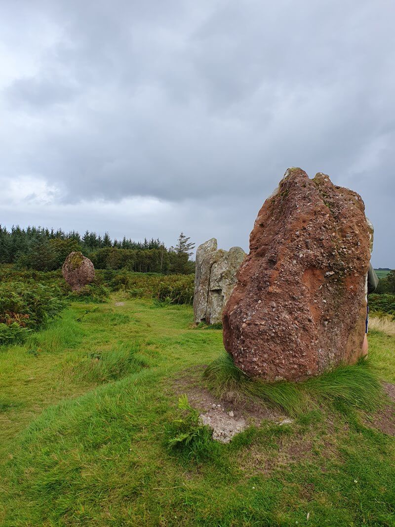 Blackpark standing stones