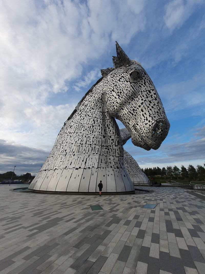 side of kelpie with 12yo stood next to it