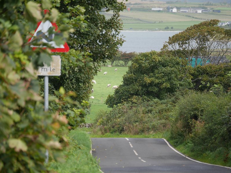 view down the hilly roads in bute