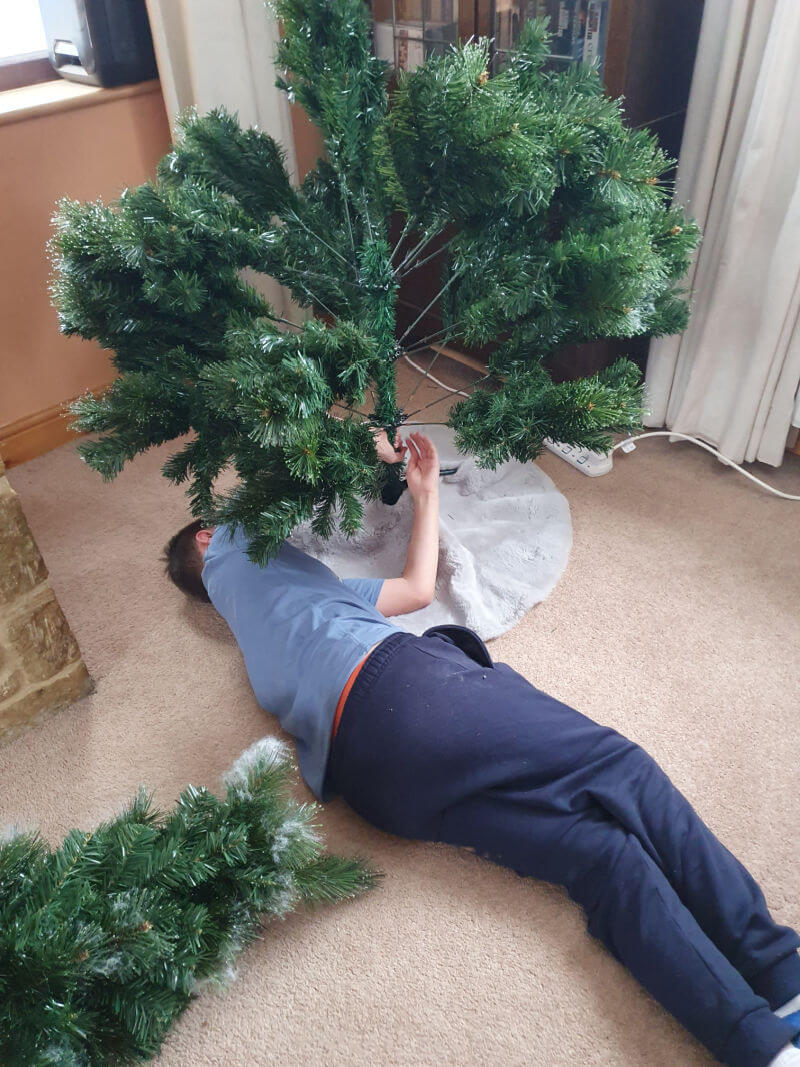 fluffing a christmas tree