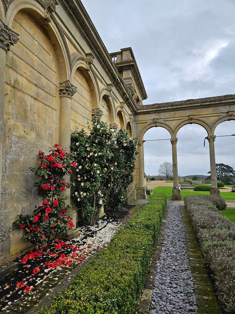 rose bushes under and against stone archways, towards open arches