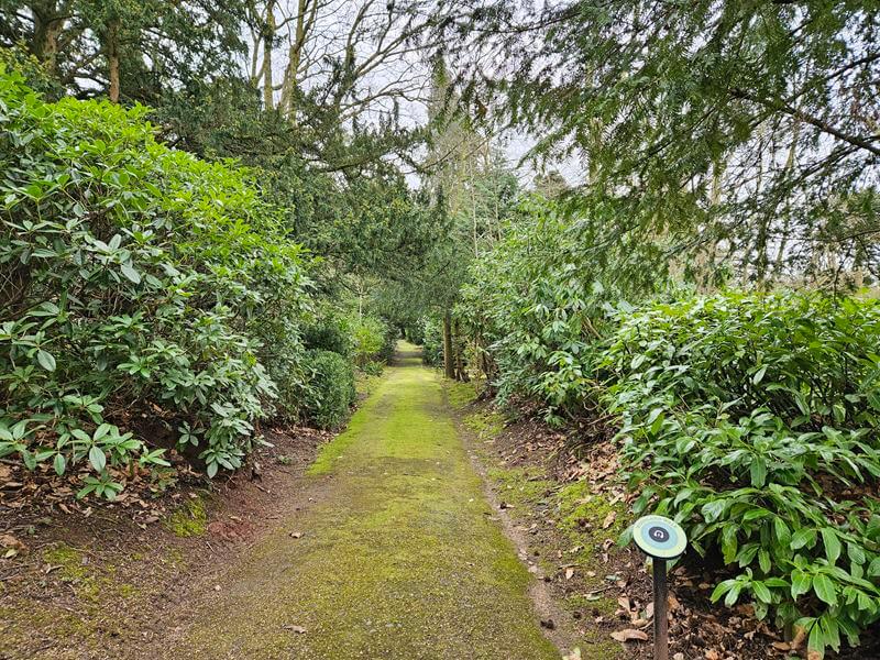 woodland walk pathway
