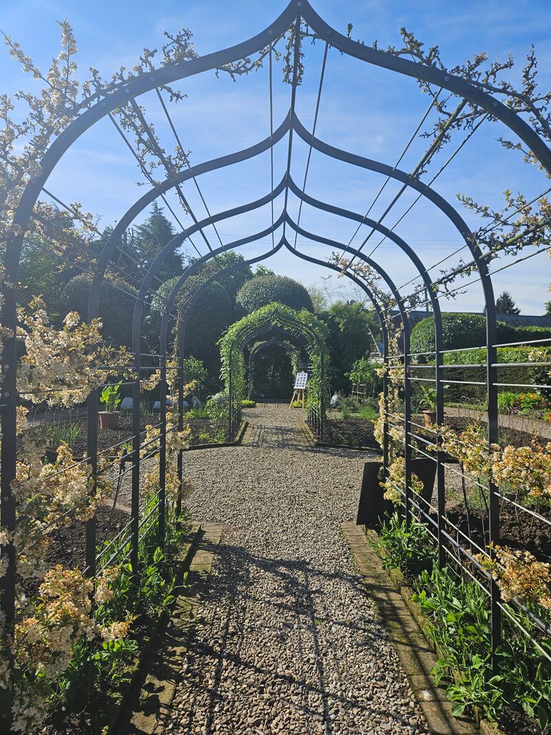 archway tunnel in garden