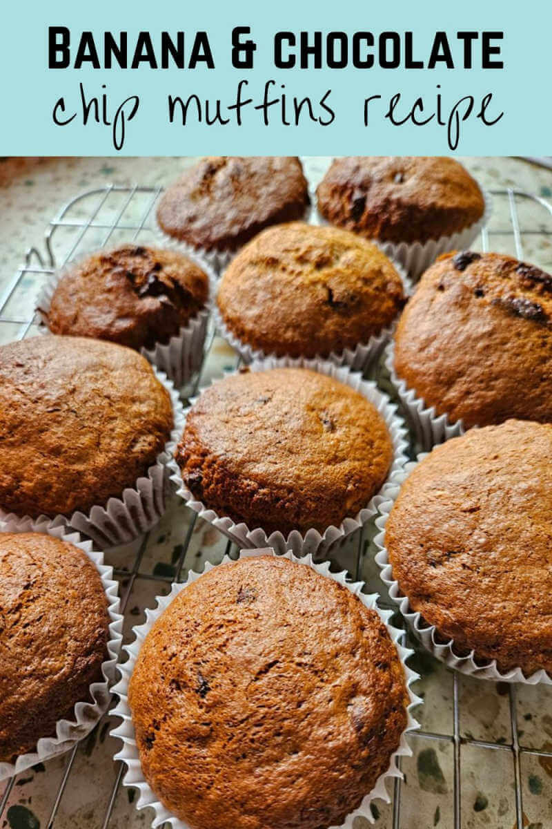 banana and choc chip muffins