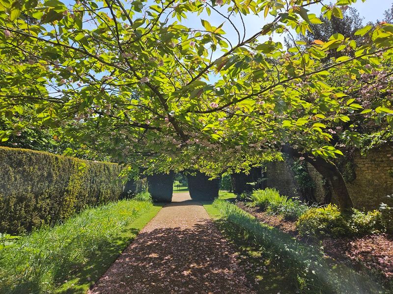 blossom tunnel path