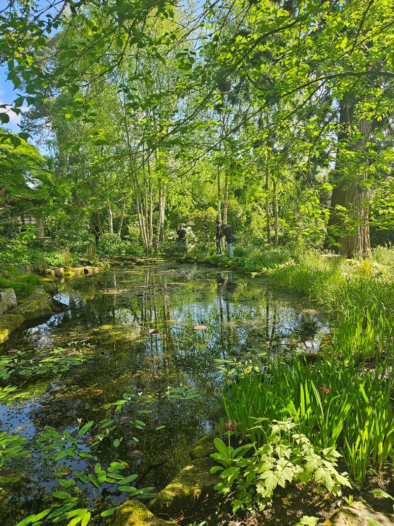 japanese garden pond