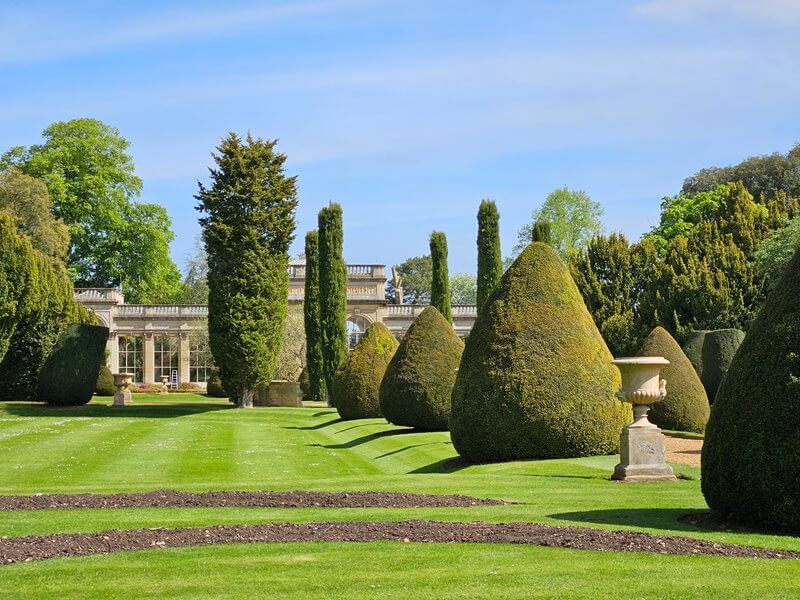 topiary trees in italian stlye garden