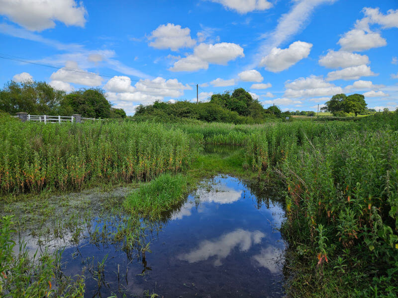 cloud reflections in the river Nar on a sunny day