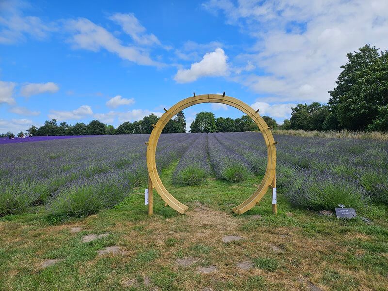 circular frame photo spot over the lavender field