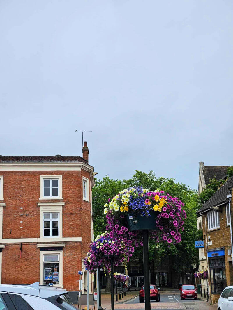 floral hanging baskets in town