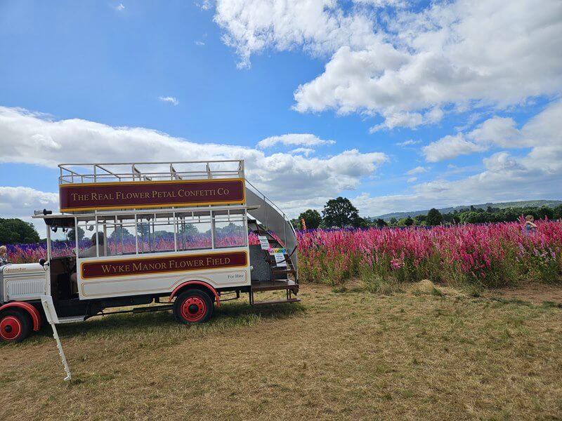 vintage bus at the confetti flower fields