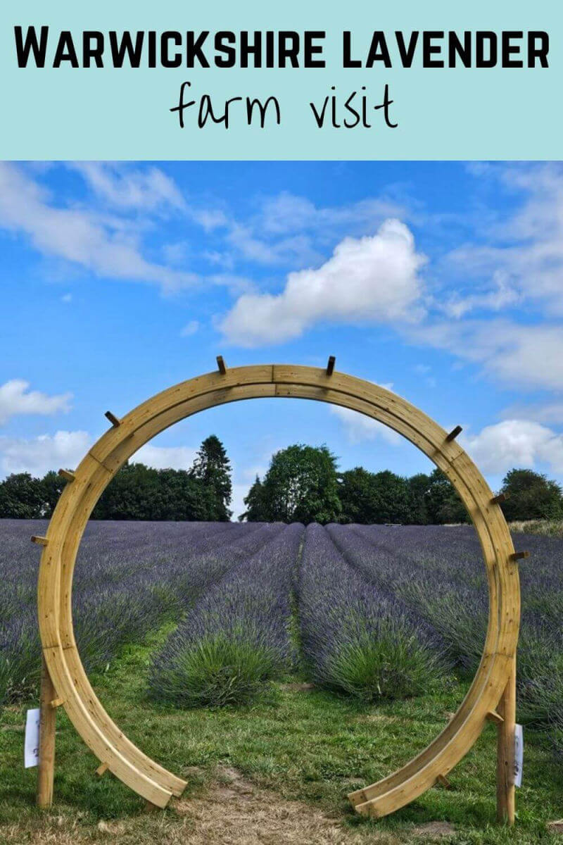 warwickshire lavender farm visit