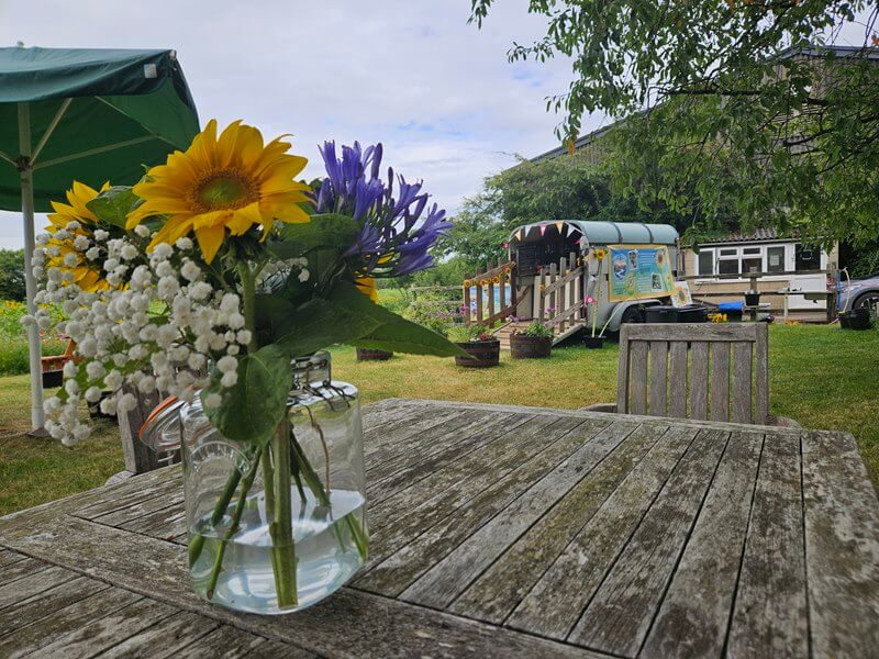 lodge farm sunflowers refreshments and picnic table with flower vase on