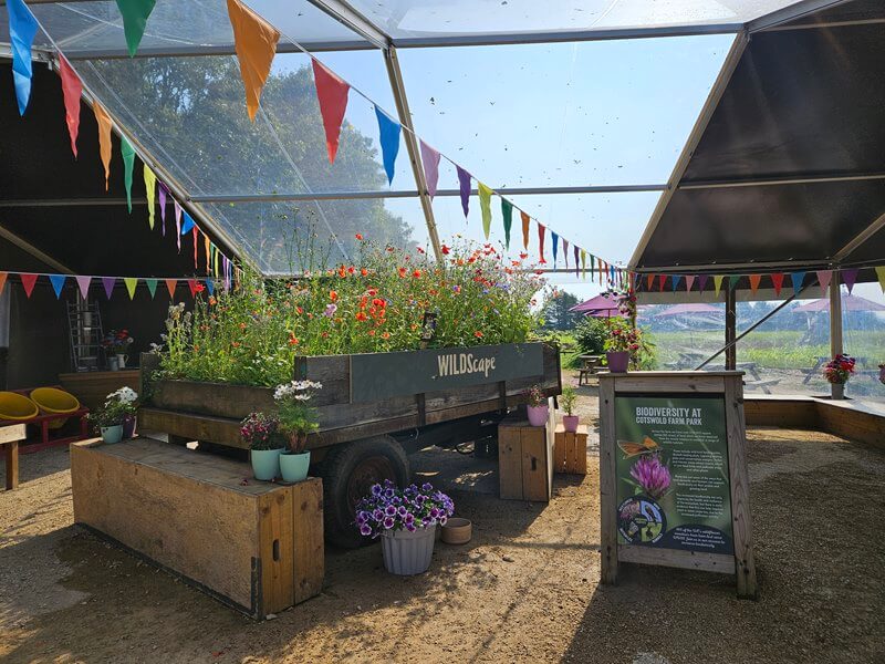 marquee entrance for the flower festival