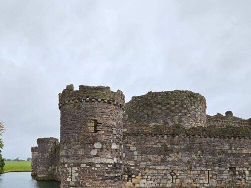 exploring beaumaris castle and wildlife cruise