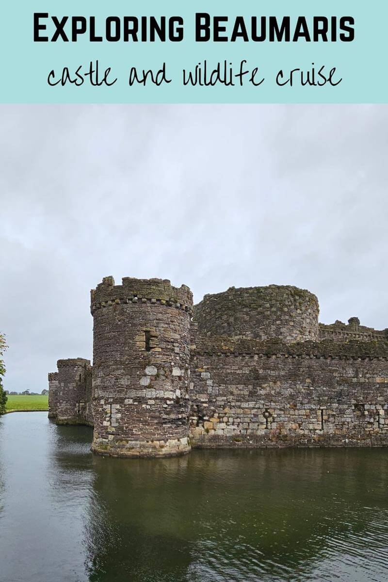 exploring beaumaris castle and wildlife cruise