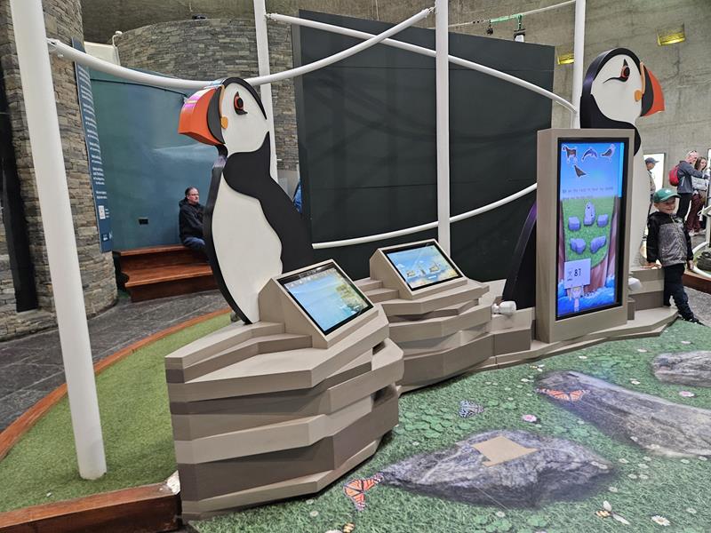 interactive puffin displays