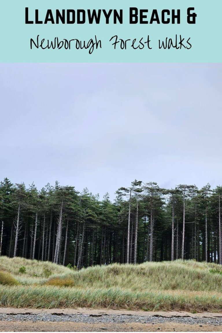 llanddwyn beach and newborough forest