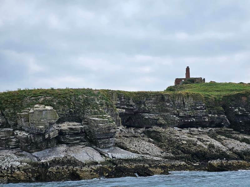 puffin island