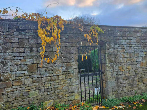 garden gateway with autumn leaves on the wall