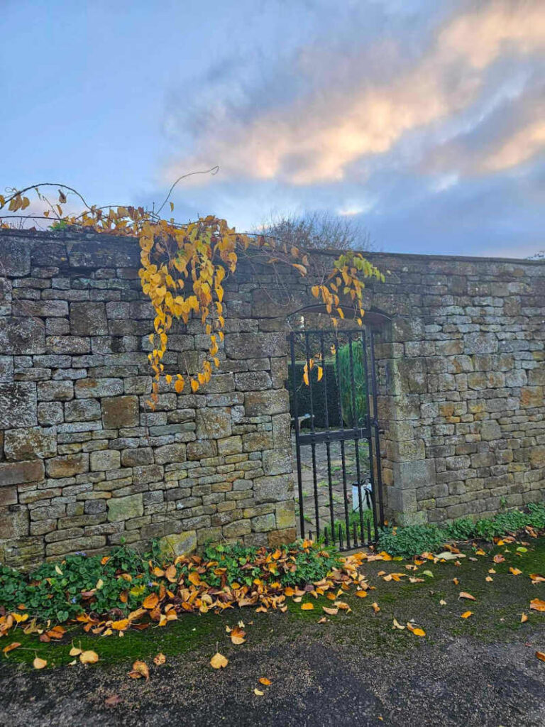 garden gateway with autumn leaves on the wall