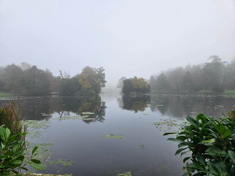 foggy tree reflections in the octagon lake