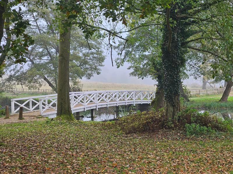 white wooden bridge through the trees