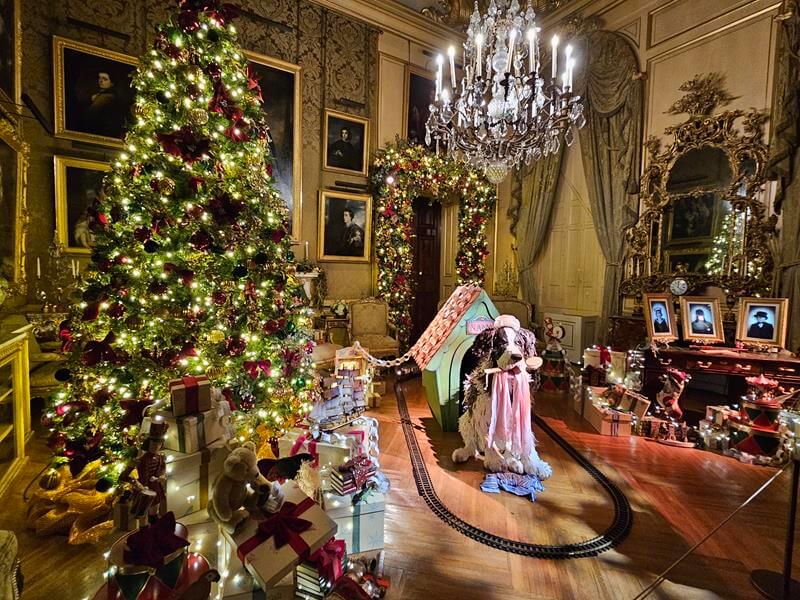 neverland display of Darling house in Blenheim