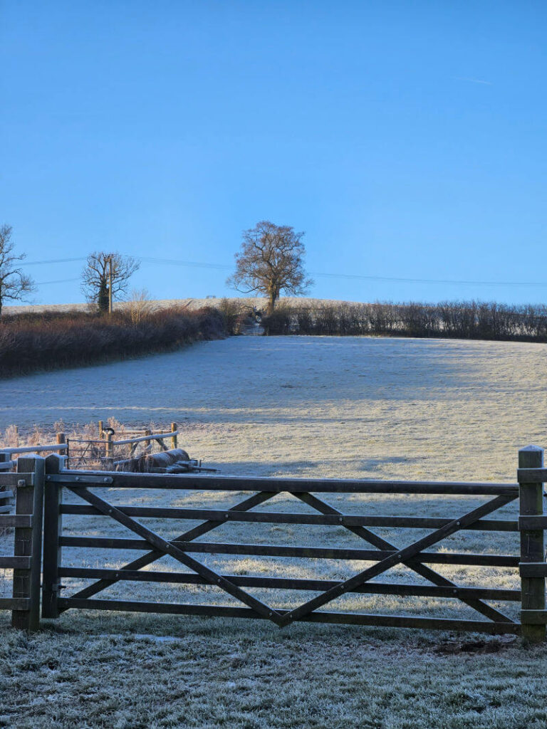 spot the cat sitting on a frosty fence post with frosty hill behind