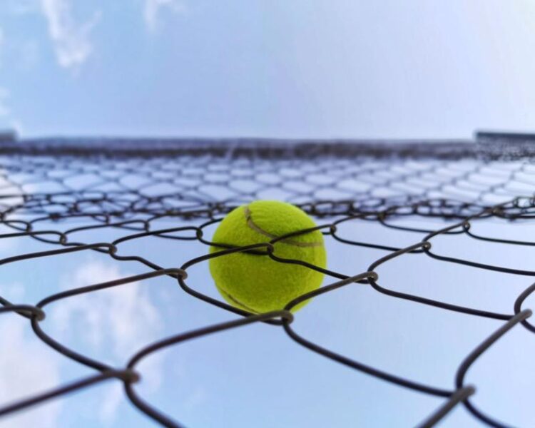 tennis ball with net