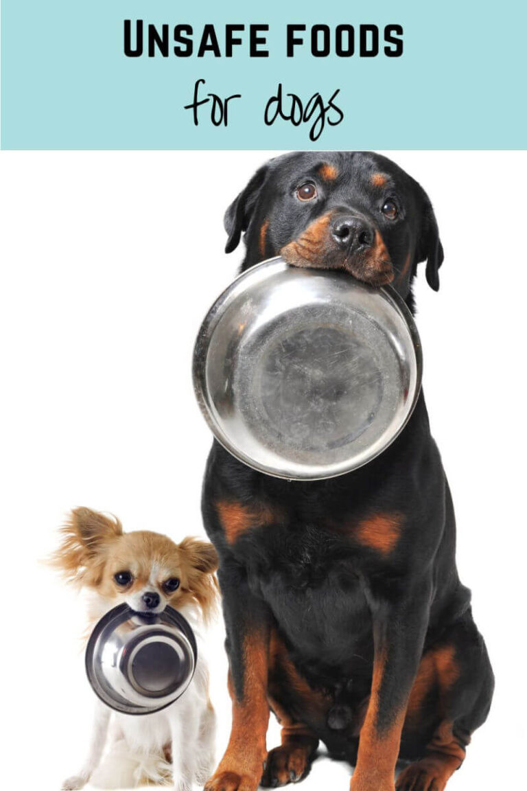 unsafe foods for dogs