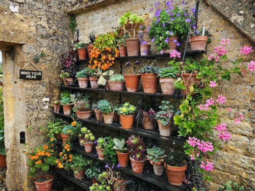 plant pots display