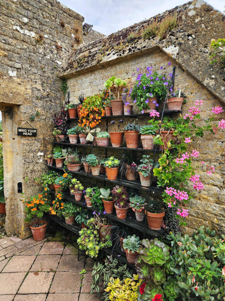 plant pots display