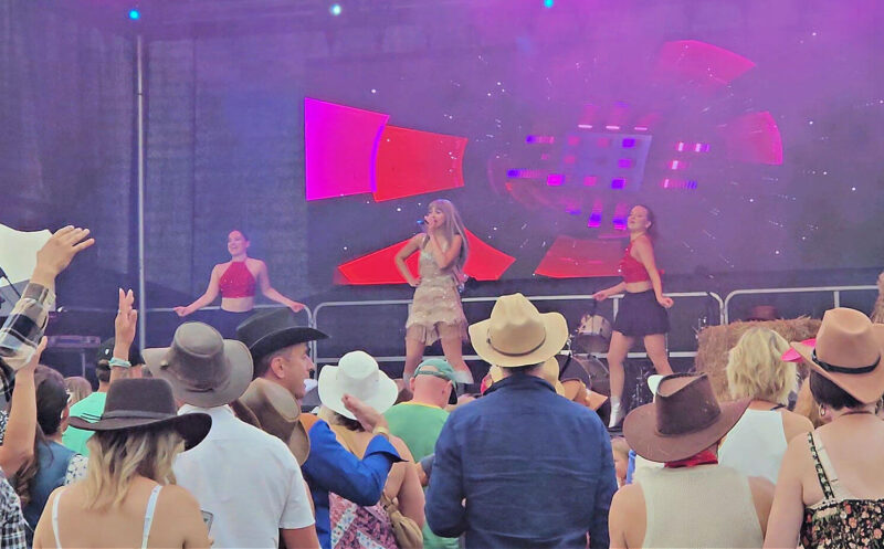 Fearlessly Taylor Swift tribute