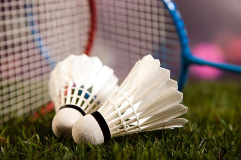 badminton shuttlecocks close up.