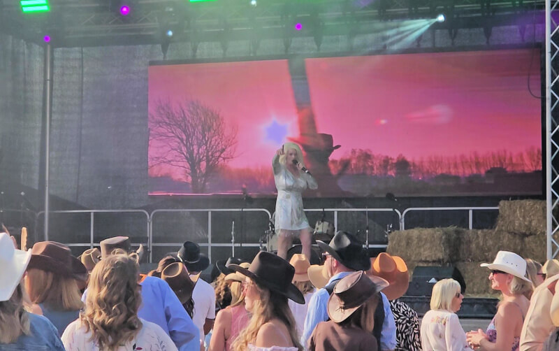 hello Dolly Parton tribute