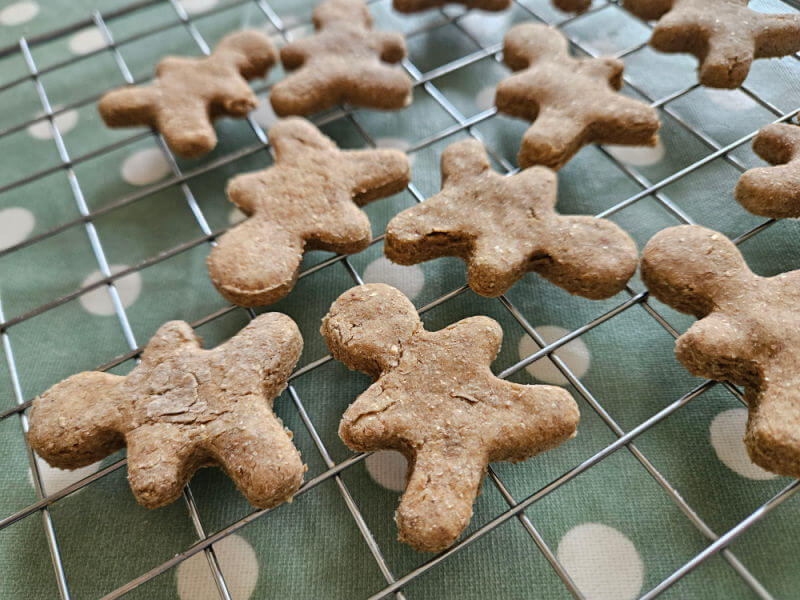 cooling dog treats