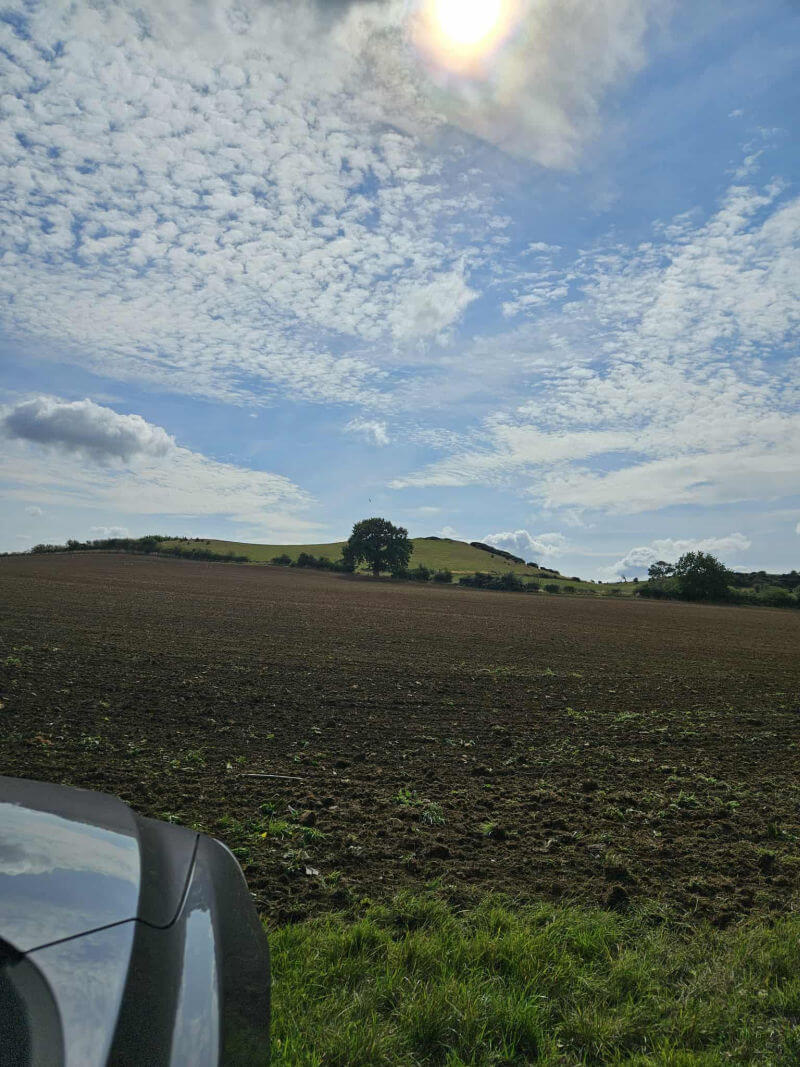 lunch out in the field