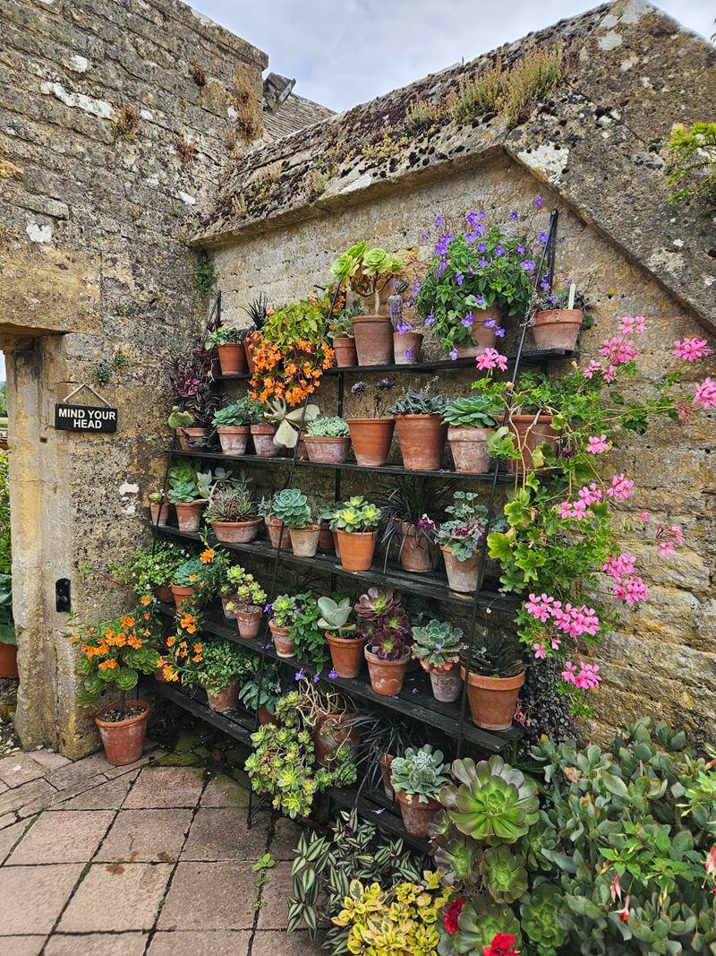 multiple small plant display on wall